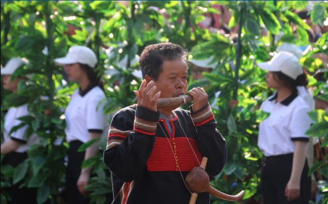 Cà phê Liberica đặc sản 6