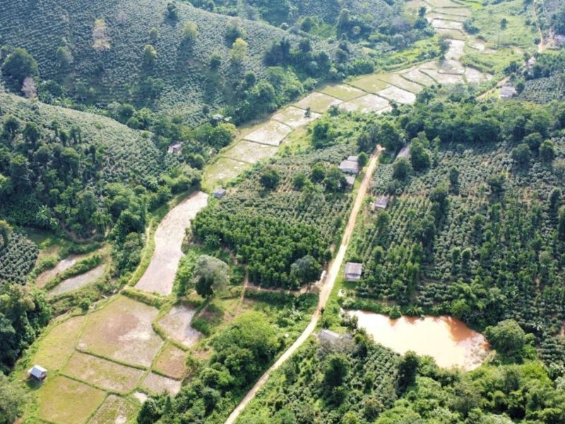 Vùng trồng cà phê Arabica Khe Sanh được chụp từ trên caoNguồn ảnh: Primecoffea